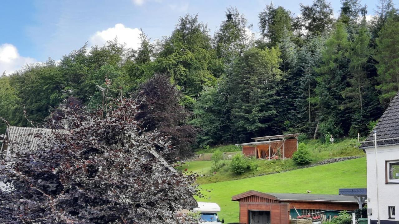 Yalet Ferienhaus 2 Appartementen Vlakbij Willingen Brilon-Wald Εξωτερικό φωτογραφία